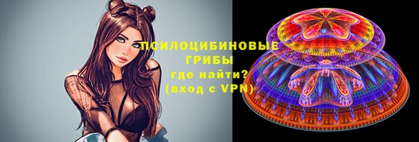 дурь Гусиноозёрск