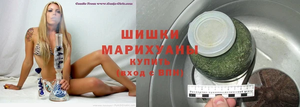 дурь Гусиноозёрск