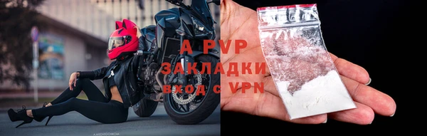дурь Гусиноозёрск