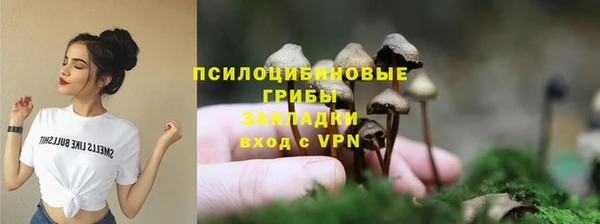 ALPHA-PVP Гусь-Хрустальный