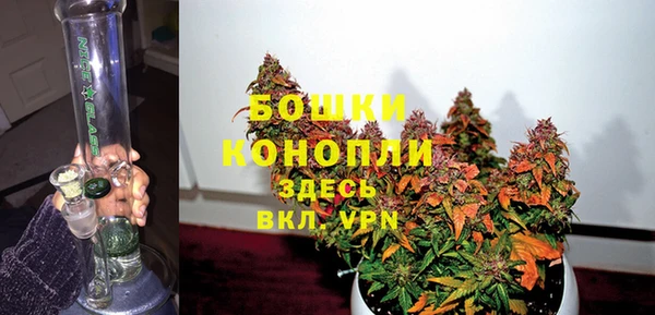 дурь Гусиноозёрск