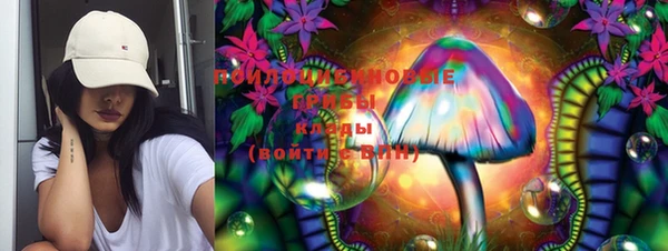кристаллы Гусев