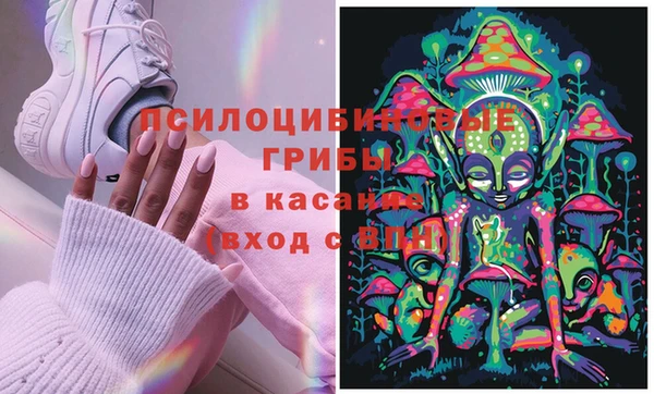 дурь Гусиноозёрск