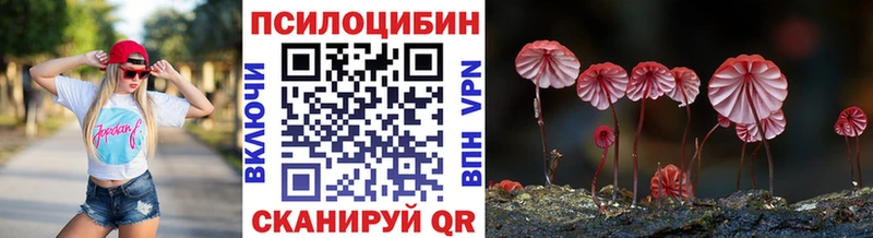 купить закладку  Саранск  Галлюциногенные грибы мухоморы 